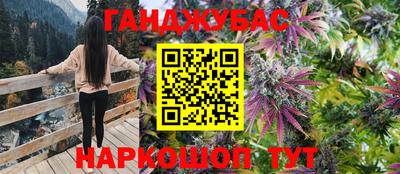 стаф Кулебаки