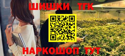 стаф Кулебаки
